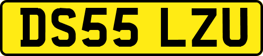 DS55LZU