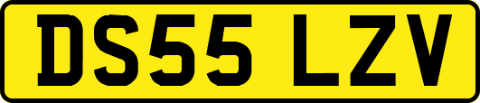 DS55LZV