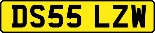 DS55LZW