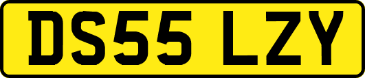 DS55LZY