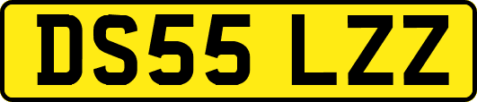 DS55LZZ