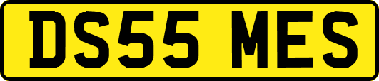 DS55MES