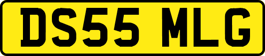 DS55MLG