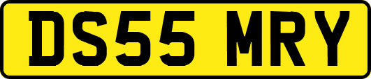 DS55MRY