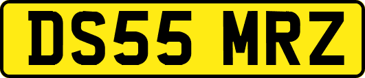 DS55MRZ