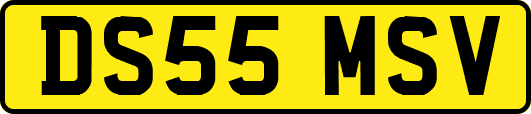 DS55MSV