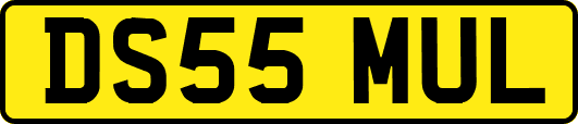 DS55MUL