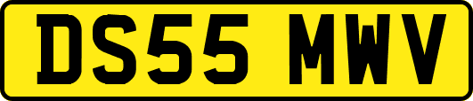 DS55MWV