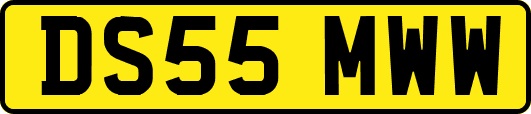 DS55MWW