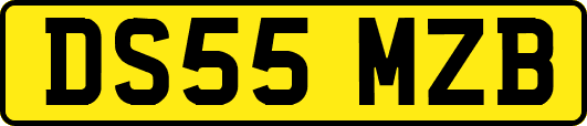 DS55MZB