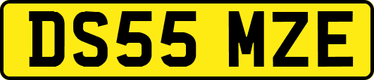 DS55MZE