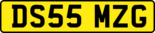 DS55MZG