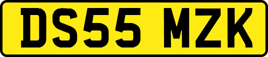 DS55MZK