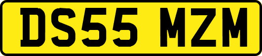 DS55MZM