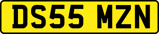 DS55MZN
