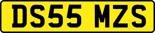 DS55MZS