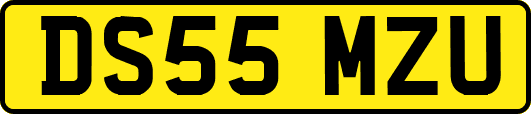 DS55MZU