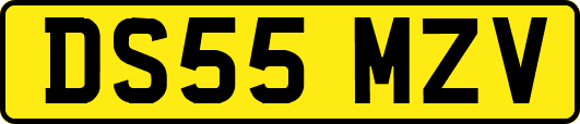 DS55MZV