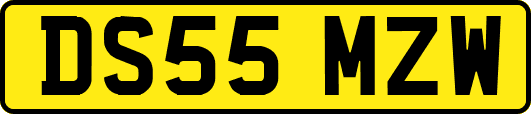 DS55MZW