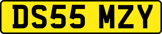 DS55MZY