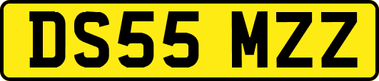 DS55MZZ