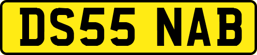 DS55NAB