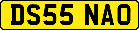 DS55NAO