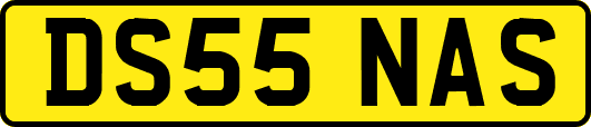 DS55NAS