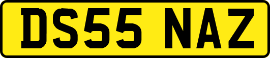 DS55NAZ