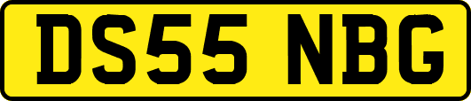 DS55NBG