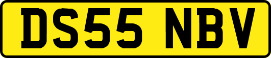 DS55NBV