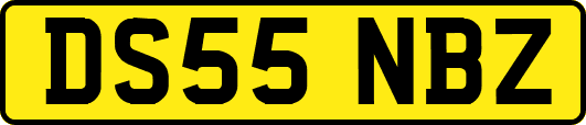DS55NBZ