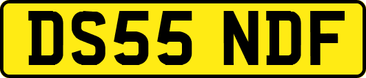 DS55NDF
