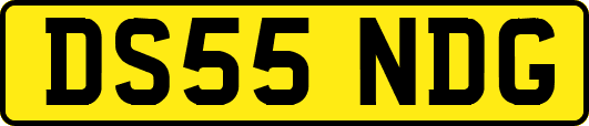 DS55NDG
