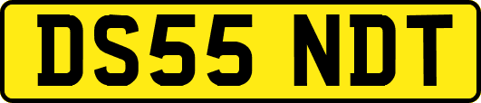 DS55NDT