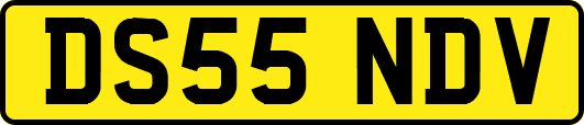 DS55NDV