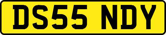 DS55NDY