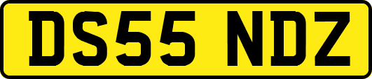 DS55NDZ