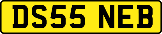 DS55NEB