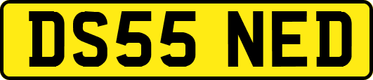 DS55NED