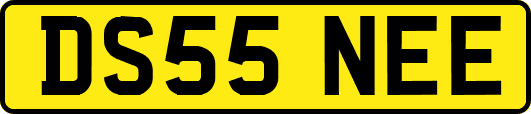 DS55NEE