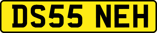 DS55NEH