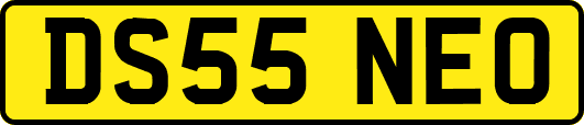 DS55NEO
