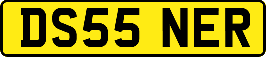 DS55NER