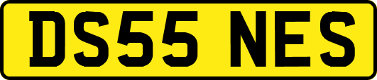 DS55NES