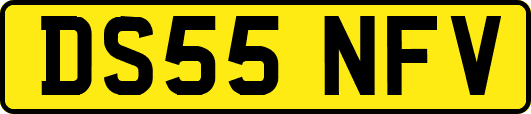 DS55NFV