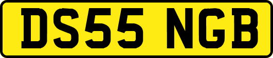 DS55NGB