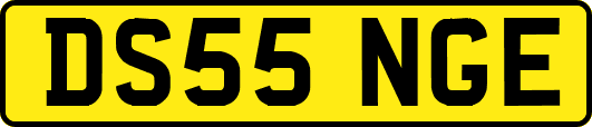 DS55NGE
