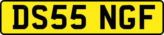 DS55NGF