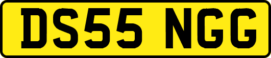 DS55NGG
